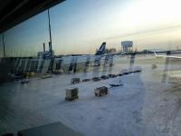 �w���V���L�E���@���^�[��`