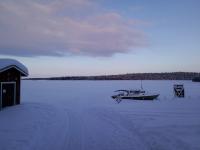 �΂֌����Ă��U��