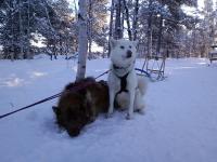 ���ƂȂ�����