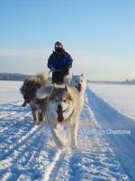 ���͖��_�I