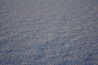 �^�����Ȑ�