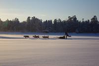 ���C��5�����I