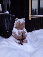 �z�e���O�̃N�}�H