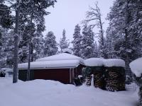 ���˂̐Ⴊ���킢����