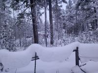 �w�r�̂悤��