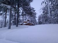 ��������Ă��܂���