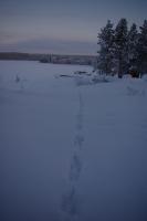 �i�j���m���̑���