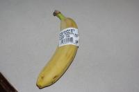 �o�i�i�i����O�j