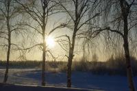 �z�e���̑�����