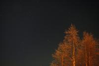 �������ꂢ�ł��B