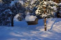 ���̑��H�H