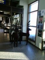 �g�i�J�C�H