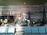 ���j�������g